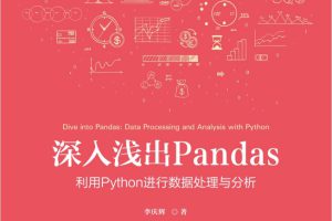 深入浅出Pandas：利用Python进行数据处理与分析